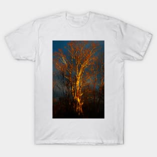 Winter Tree T-Shirt